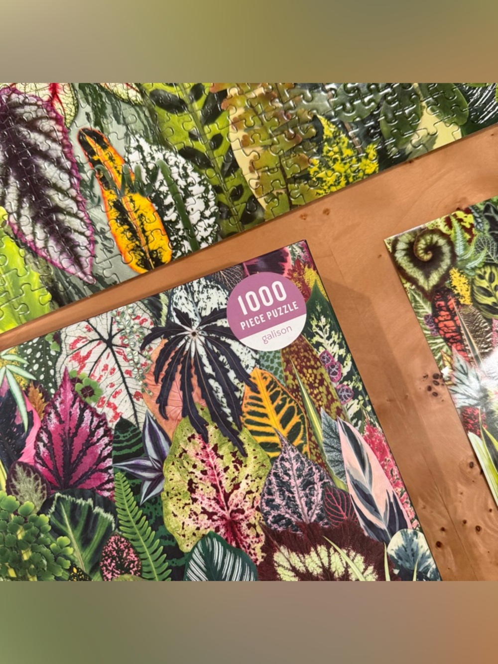 Botanical Leaf 1000-Piece Puzzle - Picture 5 of 5